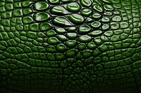 Crocodile green backgrounds texture. 