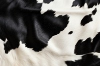 Dairy cow animal backgrounds livestock. AI generated Image by rawpixel.