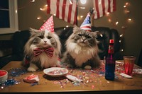 Cat new year party portrait mammal animal. AI generated Image by rawpixel.