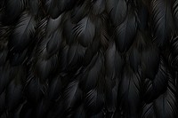 Black feather backgrounds monochrome textured. AI generated Image by rawpixel.
