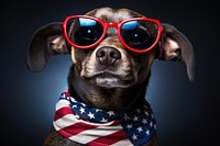 A dog wearing sunglasses and an american flag photography mammal animal. AI generated Image by rawpixel.