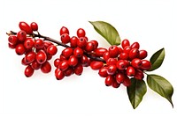 Red coffee beans and ripe berries branch cherry plant. AI generated Image by rawpixel.