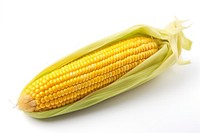 Corn corn plant food. AI generated Image by rawpixel.