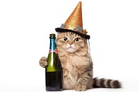 Cat animal bottle champagne. AI generated Image by rawpixel.