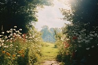 Country garden nature landscape sunlight. AI generated Image by rawpixel.