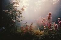 Flower garden nature landscape sunlight. AI generated Image by rawpixel.