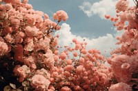 Garden sky outdoors blossom. AI generated Image by rawpixel.