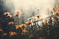 Garden sky landscape sunlight. AI generated Image by rawpixel.