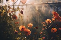 Garden sunlight outdoors nature. AI generated Image by rawpixel.