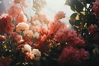 Garden outdoors blossom flower. AI generated Image by rawpixel.