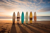 Colorful surfboards by the beach. 