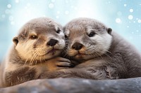 Otters cuddling otter wildlife animal. 