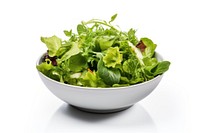 Mixed green Salad vegetable lettuce arugula. AI generated Image by rawpixel.