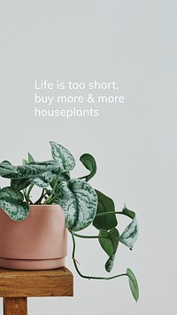 Plant quote Facebook story template