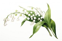 Flower plant leaf freshness. AI generated Image by rawpixel.