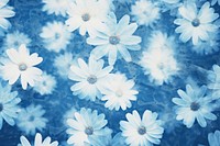 Daisy pattern backgrounds flower nature. AI generated Image by rawpixel.
