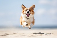 Excited dog outdoors mammal animal. AI generated Image by rawpixel.