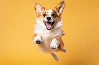 Excited dog mammal animal puppy. AI generated Image by rawpixel.