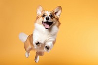 Excited dog mammal animal puppy. AI generated Image by rawpixel.