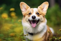 Smiling dog mammal animal puppy. AI generated Image by rawpixel.