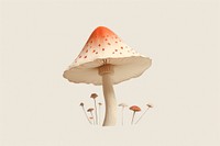 Mushroom fungus agaric plant. 