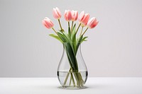 Tulip vase flower plant. AI generated Image by rawpixel.