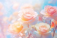 Flower rose backgrounds blossom. AI generated Image by rawpixel.