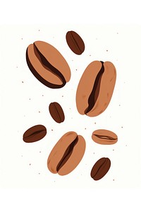 Coffee beans coffee nut white background. 