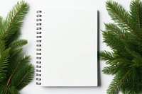 Plant tree page fir. AI generated Image by rawpixel.