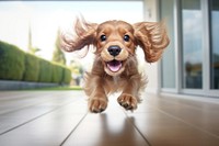Young dog spaniel pet mammal. AI generated Image by rawpixel.