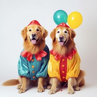 Golden Retrievers retriever balloon costume. AI generated Image by rawpixel.