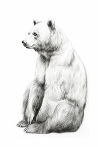  Bear sit drawing sketch wildlife. AI generated Image by rawpixel.