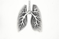  Lung drawing sketch radiography. 