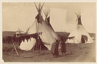 [Native American Woman in Camp with Racks of Drying Meat]