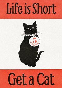 Vintage cat poster template