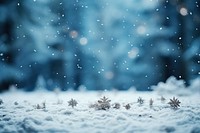 Christmas winter backgrounds christmas. AI generated Image by rawpixel.