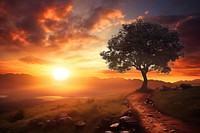 Nature landscape outdoors sunset plant. AI generated Image by rawpixel.