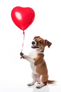 A dog biting a balloon heart mammal animal puppy. AI generated Image by rawpixel.