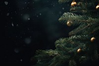 Christmas background christmas backgrounds plant. AI generated Image by rawpixel.