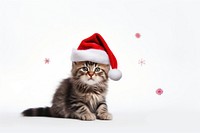Christmas cat photography portrait mammal. AI generated Image by rawpixel.