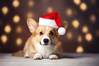 Christmas dog mammal animal puppy. AI generated Image by rawpixel.