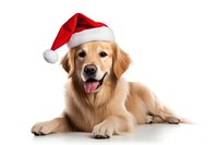 Christmas dog retriever mammal animal. AI generated Image by rawpixel.