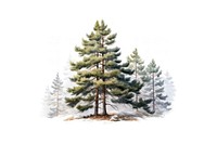 Pine winter sketch plant. AI generated Image by rawpixel.