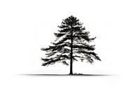 Pine shadow silhouette plant white. AI generated Image by rawpixel.