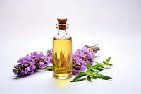 Bottle flower perfume plant. AI generated Image by rawpixel.