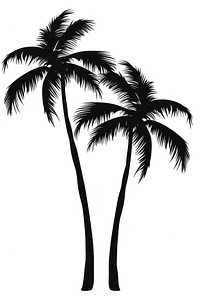 2 tropical palm trees silhouette plant white background. AI generated Image by rawpixel.