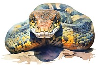 Anaconda watercolor reptile animal snake. AI generated Image by rawpixel.