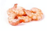 PNG Seafood shrimp animal invertebrate. AI generated Image by rawpixel.
