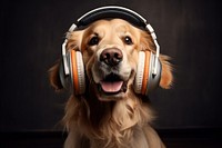 Headphones dog retriever headset. AI generated Image by rawpixel.
