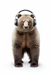 Bear headphones mammal white background. AI generated Image by rawpixel.
